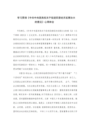 2023学习贯彻《中共中央国务院关于促进民营经济发展壮大的意见》心得体会【10篇精选】供参考.docx