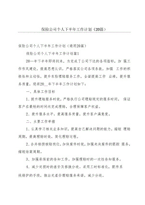 保险公司个人下半年工作计划（20篇）.docx