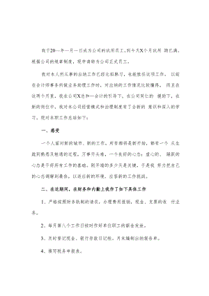 出纳试用期述职报告2篇供借鉴.docx