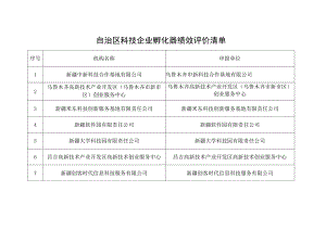 自治区科技企业孵化器绩效评价清单.docx