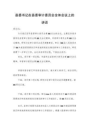 县委书记在县委审计委员会全体会议上的讲话.docx