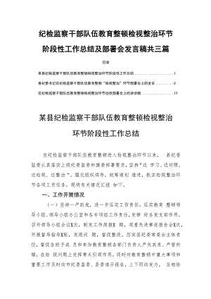 纪检监察干部队伍教育整顿检视整治环节阶段性工作总结及部署会发言稿共三篇.docx