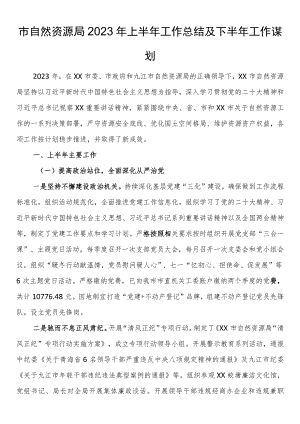 市自然资源局2023年上半年工作总结及下半年工作谋划.docx