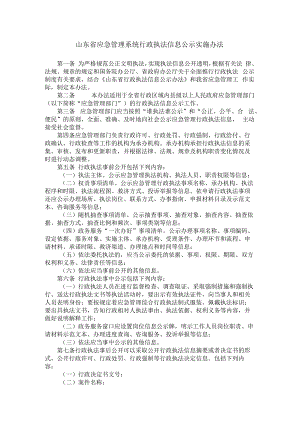 山东省应急管理系统行政执法信息公示实施办法-全文及解读.docx