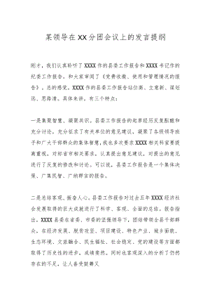 某领导在XX分团会议上的发言提纲.docx