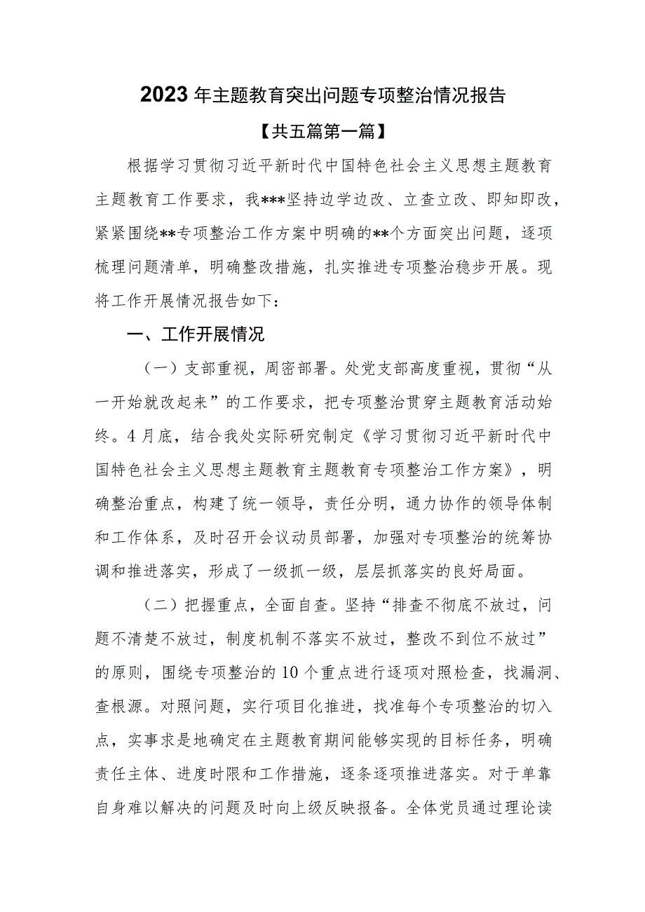 （5篇）2023年主题教育突出问题专项整治情况报告.docx_第1页