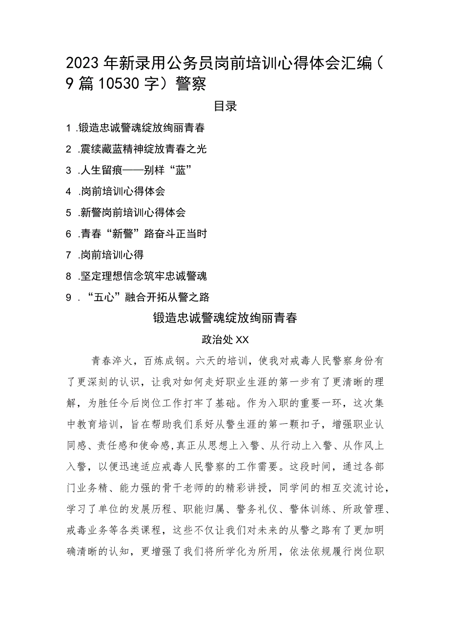 2023年新录用公务员岗前培训心得体会汇编9篇（公安）.docx_第1页