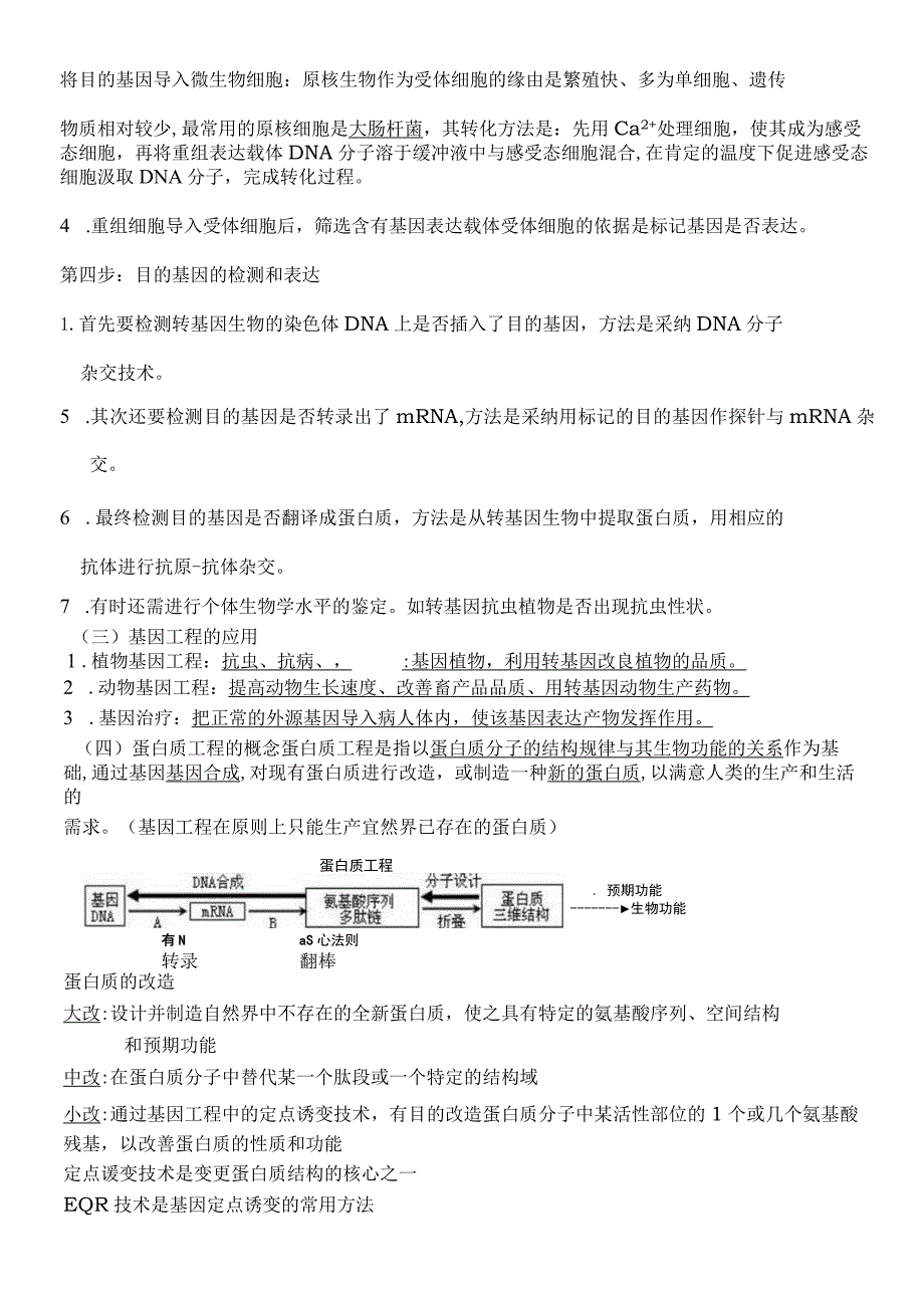 基因工程知识点总结.docx_第3页