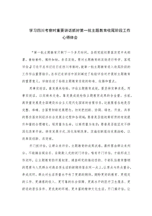 2023学习四川考察时重要讲话抓好第一批主题教育收尾阶段工作心得体会7篇(最新精选).docx