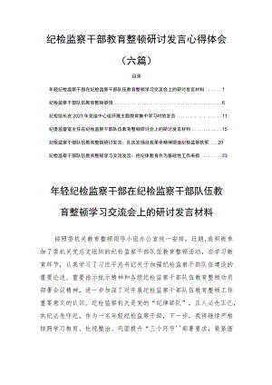 纪检监察干部教育整顿研讨发言心得体会(六篇).docx