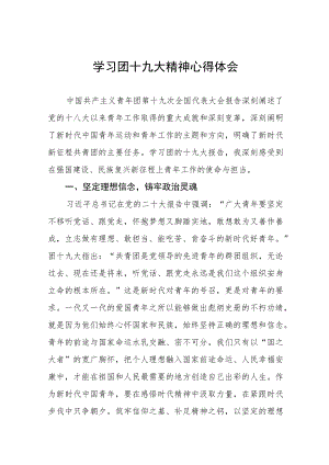 党员干部学习团十九大精神心得体会五篇.docx