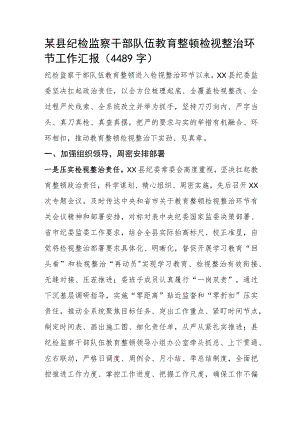 纪检监察干部队伍教育整顿检视整治环节工作汇报.docx