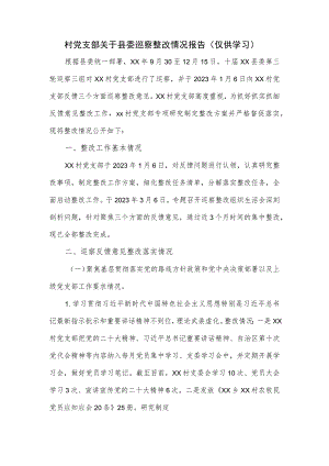 村党支部关于县委巡察整改情况报告.docx