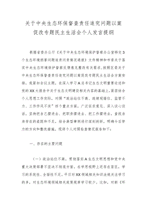 关于中央生态环保督查责任追究问题以案促改专题民主生活会个人发言提纲.docx