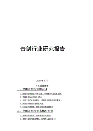 击剑行业研究报告.docx