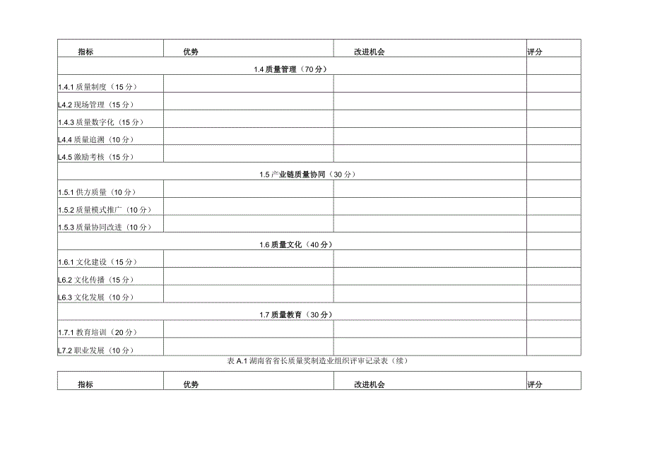 湖南省省长质量奖制造业组织评审记录表、成熟度列表.docx_第2页