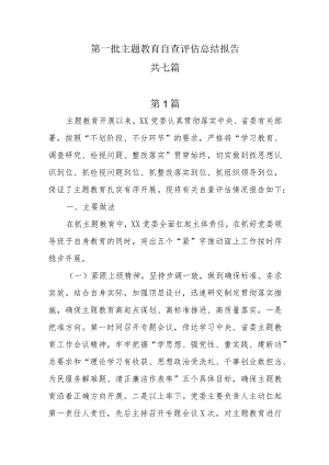 第一批主题教育自查评估总结报告7篇.docx