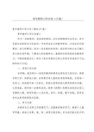 青年教师工作计划（17篇）.docx