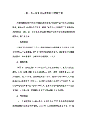 一村一名大学生村医提升计划实施方案.docx