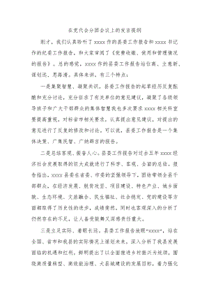 在党代会分团会议上的发言提纲.docx