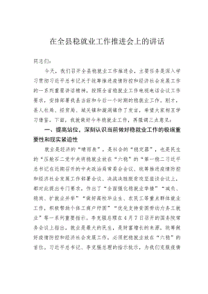 在某某县稳就业工作推进会上的讲话.docx