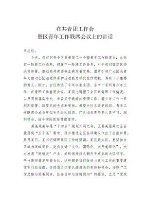 在共青团工作会暨区青年工作联席会议上的讲话.docx