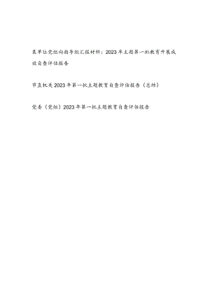 某单位党组向指导组汇报材料：2023年主题第一批教育开展成效自查评估报告.docx