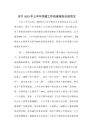 关于2023年上半年党建工作自查报告总结范文.docx