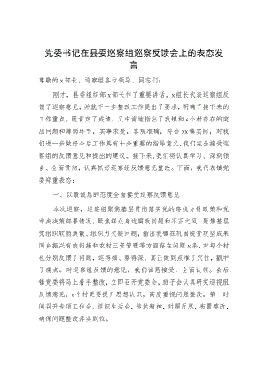 在巡察组巡察反馈会上的表态发言（乡镇）.docx