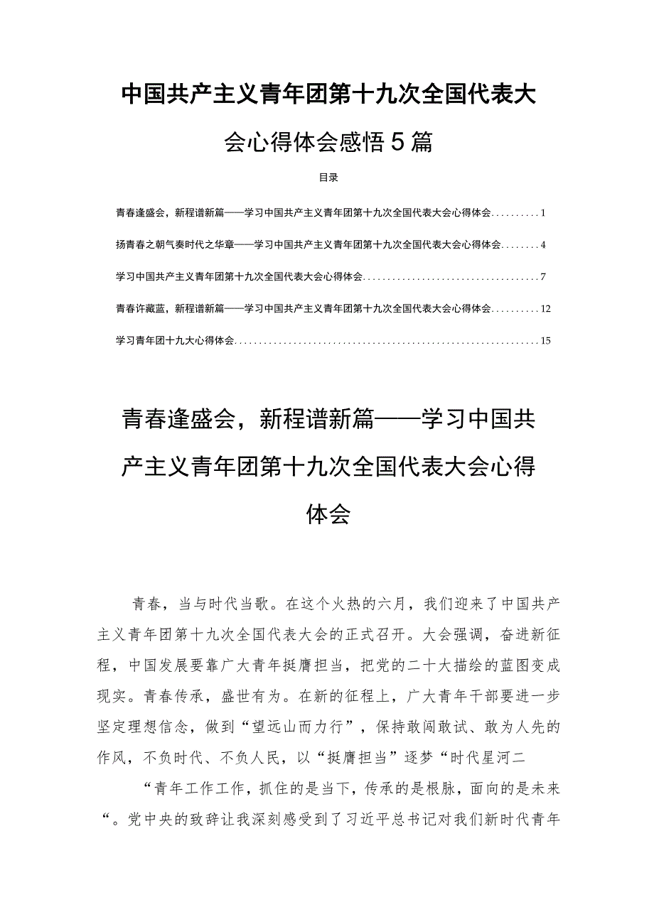 中国共产主义青年团第十九次全国代表大会心得体会感悟(5篇）.docx_第1页