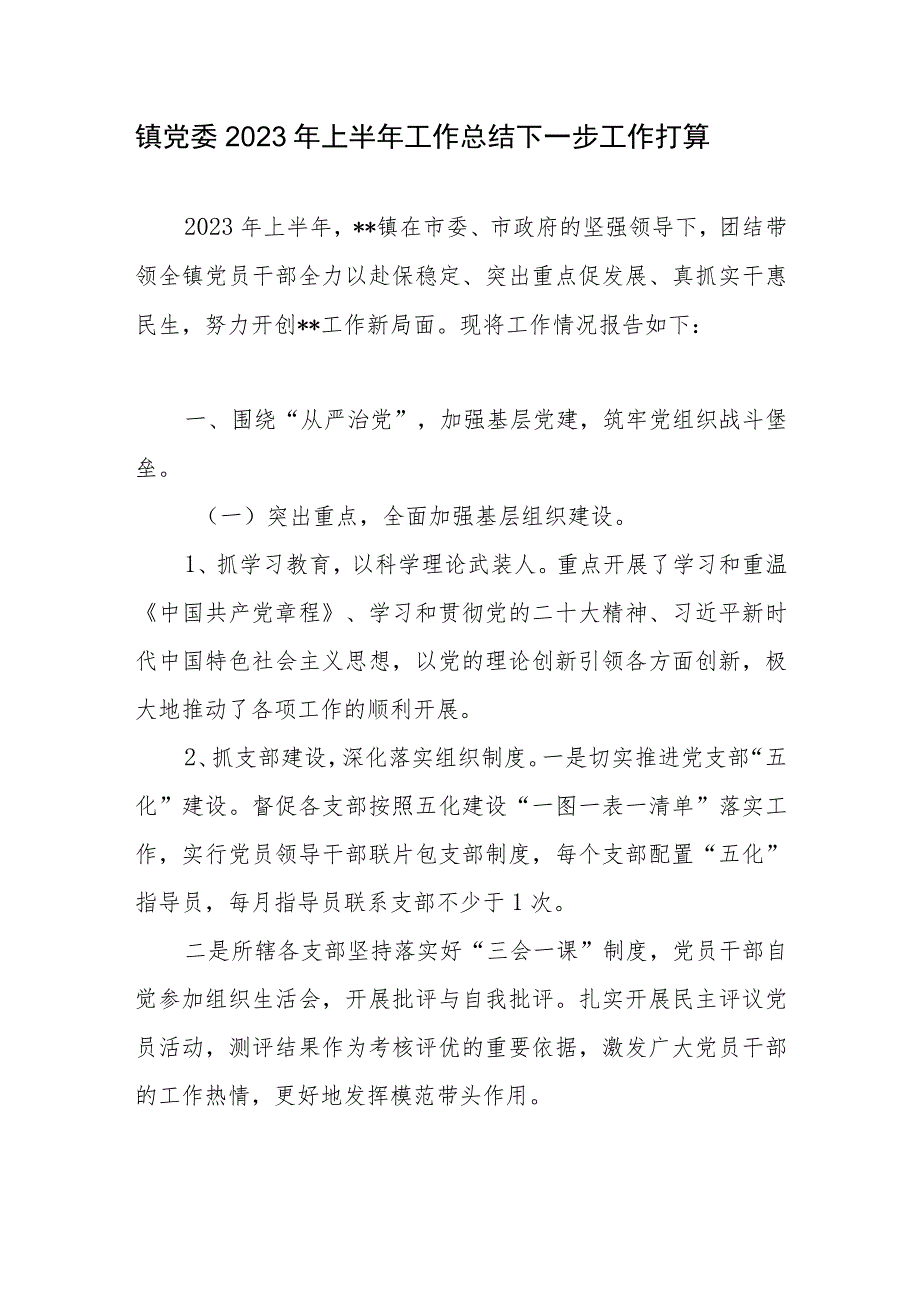 乡镇党委2023年上半年工作总结下半年工作计划下一步工作打算和党委工作综述.docx_第2页