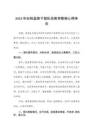 关于2023年纪检监察干部队伍教育整顿活动心得体会两篇范文.docx