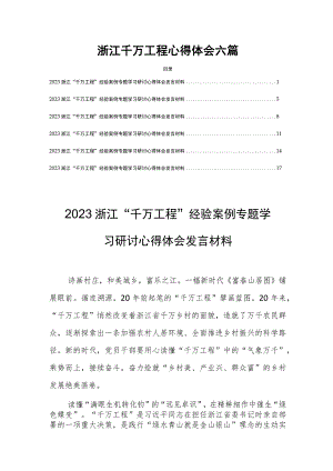 浙江千万工程心得体会六篇.docx