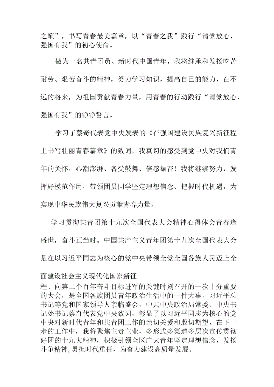 青年干部学习贯彻共青团第十九次全国代表大会精神个人心得体会 （5份）.docx_第2页