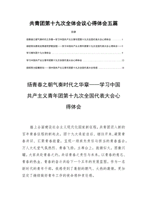 共青团第十九次全体会议心得体会五篇.docx