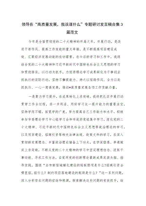 领导在“高质量发展我该谋什么”专题研讨发言稿合集3篇范文.docx