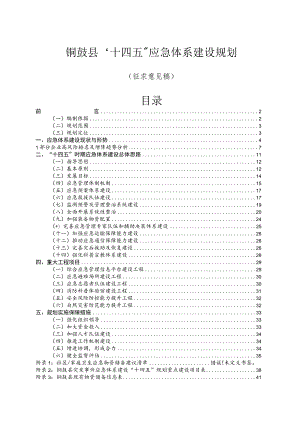 铜鼓县“十四五”应急体系建设规划.docx