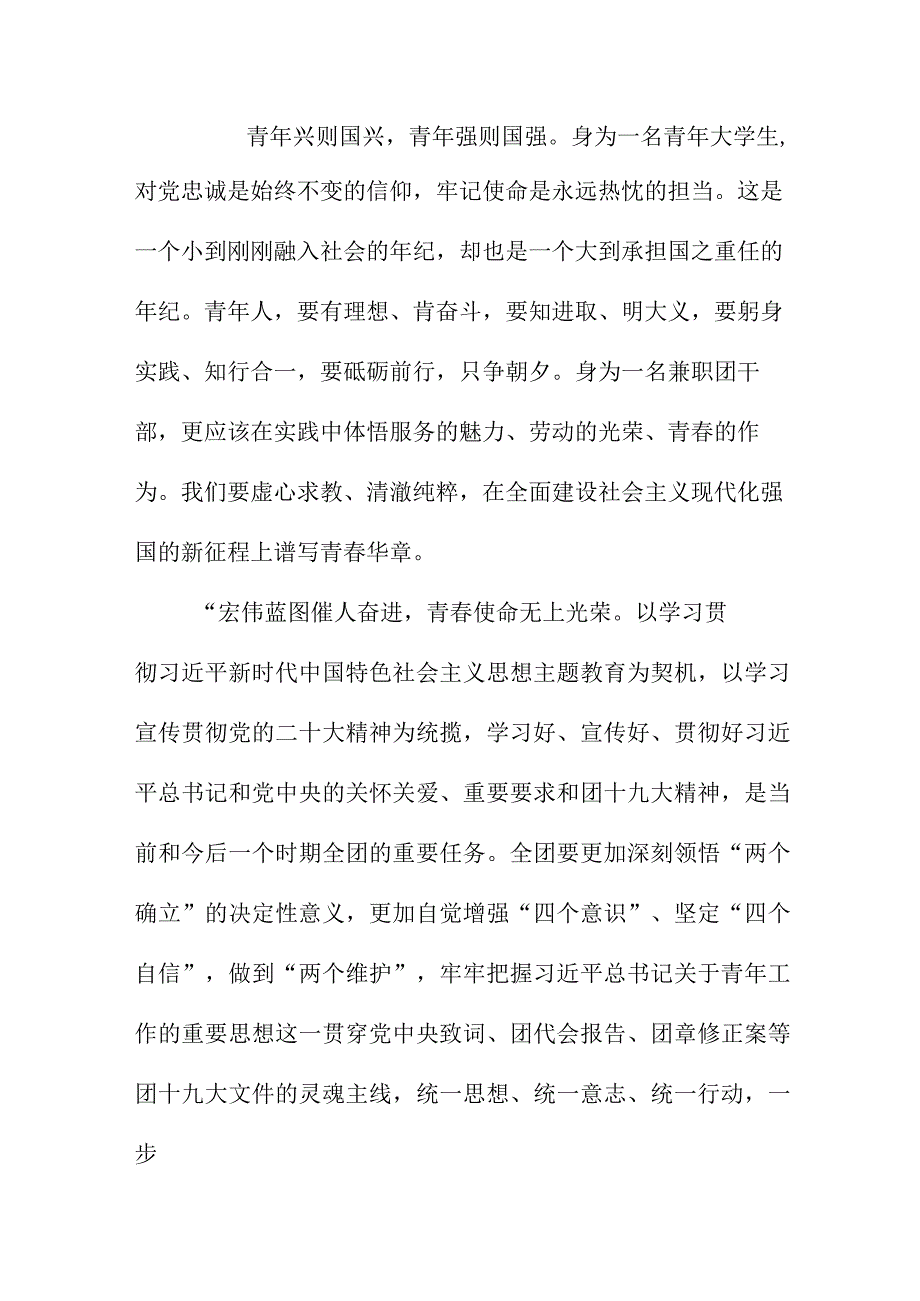 青年干部学习贯彻共青团第十九次全国代表大会精神个人心得体会 （汇编5份）.docx_第2页