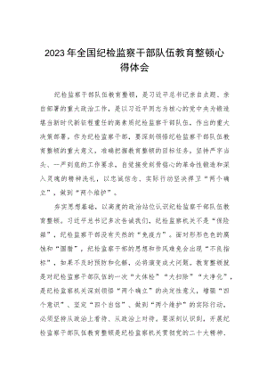 2023纪检监察干部队伍教育整顿的心得感悟两篇.docx