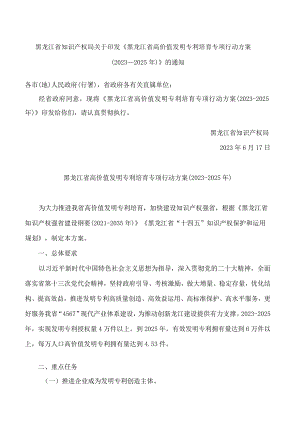 黑龙江省知识产权局关于印发《黑龙江省高价值发明专利培育专项行动方案(2023—2025年)》的通知.docx