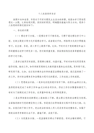 个人检查剖析发言.docx