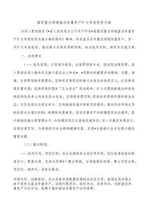 推进重点领域盘活存量资产扩大有效投资方案.docx