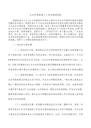 生态环保督查个人发言提纲剖析.docx