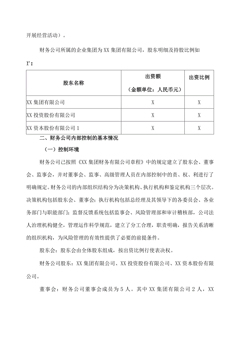 XX集团财务有限公司202X度风险评估报告.docx_第2页