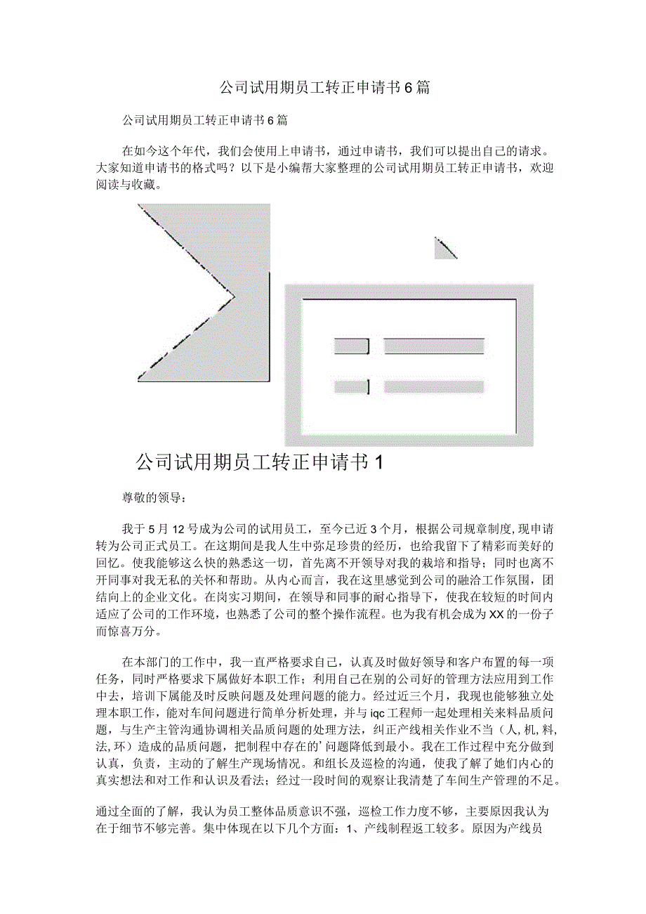 公司试用期员工转正申请书6篇.docx_第1页