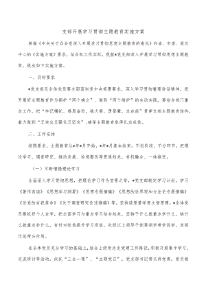 支部开展学习贯彻主题教育实施方案.docx