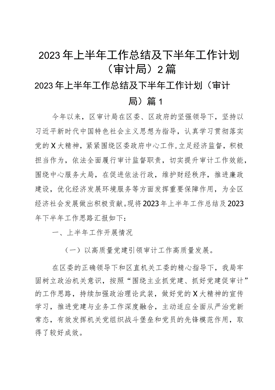 2023年上半年工作总结及下半年工作计划(审计局)2篇.docx_第1页