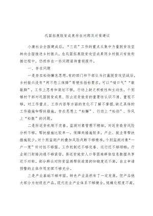 巩固拓展脱贫成果存在问题及对策建议范本.docx