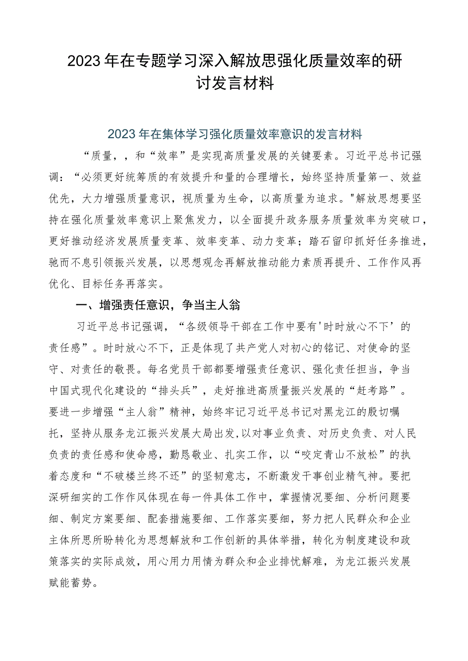 2023年在专题学习深入解放思强化质量效率的研讨发言材料.docx_第1页