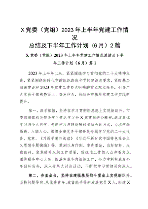 x党委(党组)2023年上半年党建工作情况总结及下半年工作计划(6月)2篇.docx